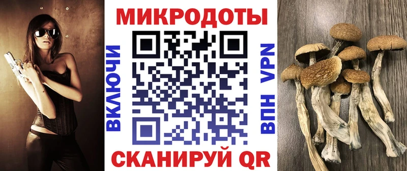 Галлюциногенные грибы Psilocybe  Балашиха 