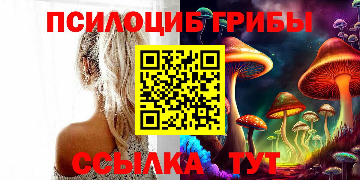 Псилоцибиновые грибы ЛСД  купить  сайты  Балашиха  Псилоцибиновые грибы мицелий  Вход с VPN 